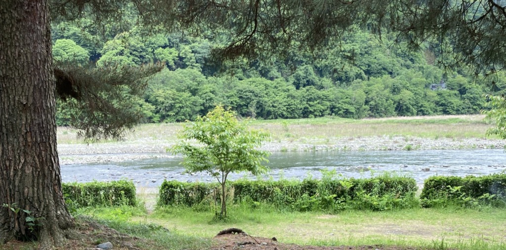 林エリアからみた小川