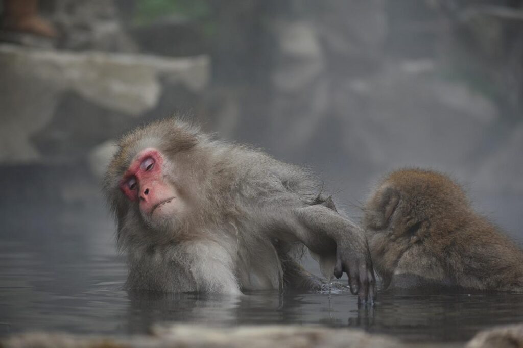 温泉