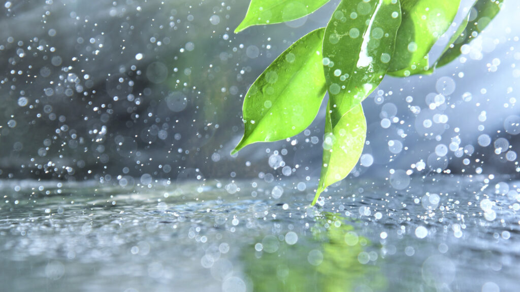 雨の音を聞く癒し